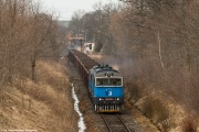 Kwartet nurków