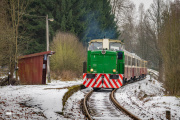 Rosnička w Libeč