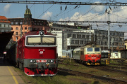 Czeska klasyka
