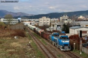 736 003-5