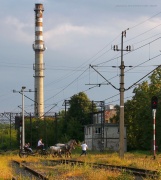 Regio "Dwie klacze i dwa źrebaki"