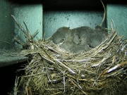 Co można znaleźć w siódemce:)