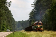 BR232-049 + TEM2-039