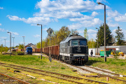 Dolata w Sierpcu