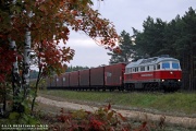 232 443-2