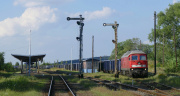232 239-4