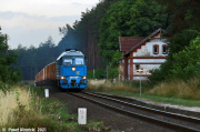 Dolata w Trzebiszewie