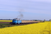 BR232-781